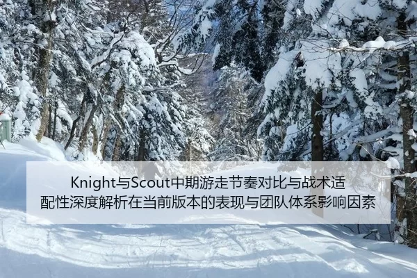 Knight与Scout中期游走节奏对比与战术适配性深度解析在当前版本的表现与团队体系影响因素