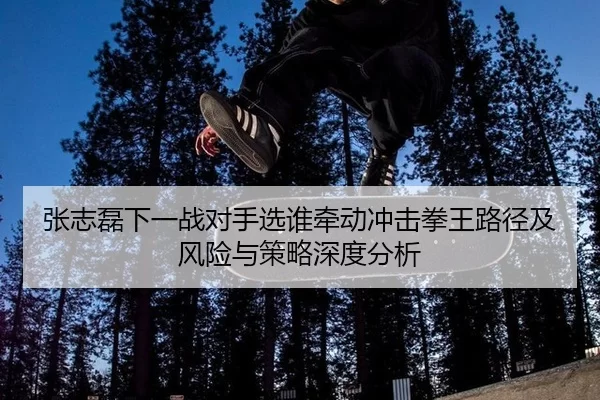 张志磊下一战对手选谁牵动冲击拳王路径及风险与策略深度分析