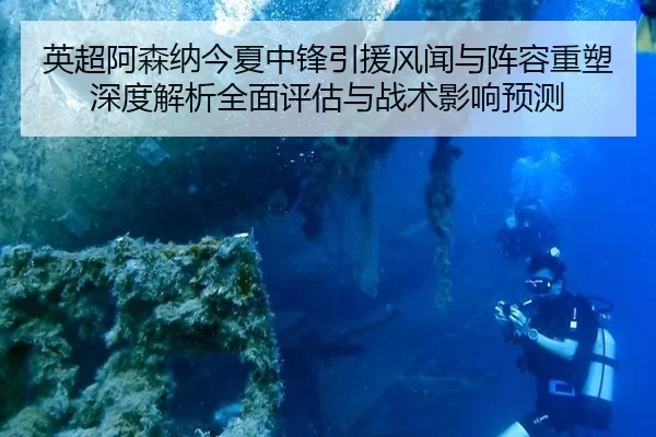 英超阿森纳今夏中锋引援风闻与阵容重塑深度解析全面评估与战术影响预测